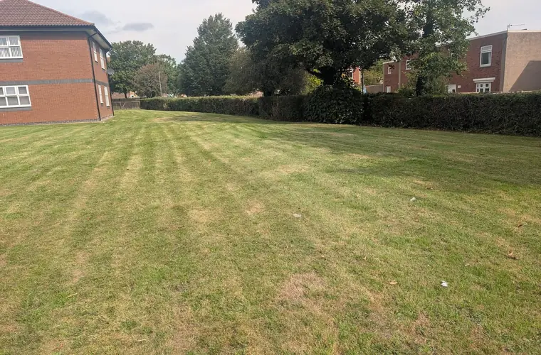Striped communal lawn running up to a clipped hedge boundary beside a brick residential block