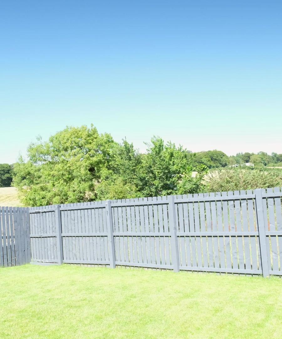 New lawn inside a grey painted fence