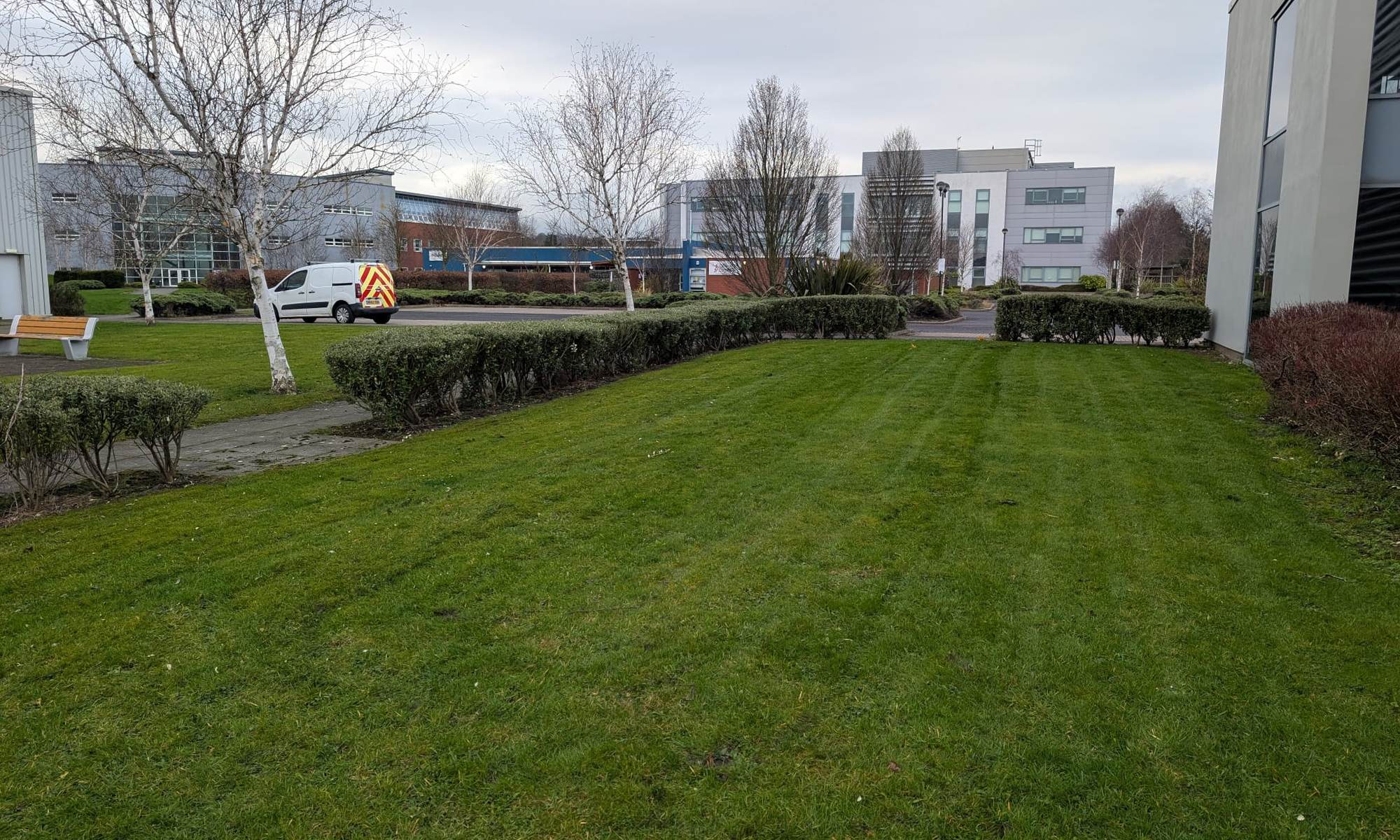 Business park lawn mown in stripes with a clipped hedge line and office buildings behind