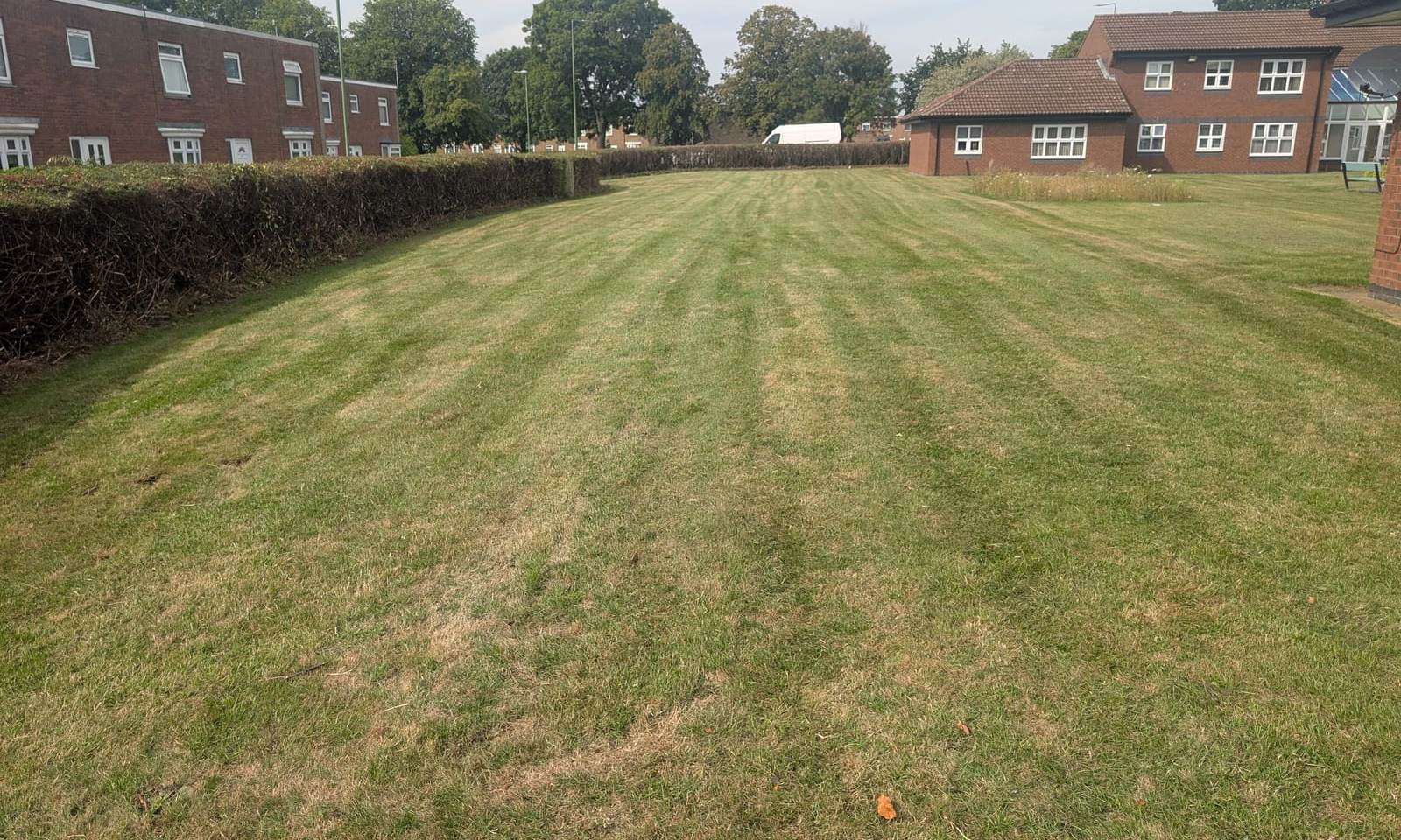 Long communal lawn mown in stripes between a hedge line and brick residential buildings