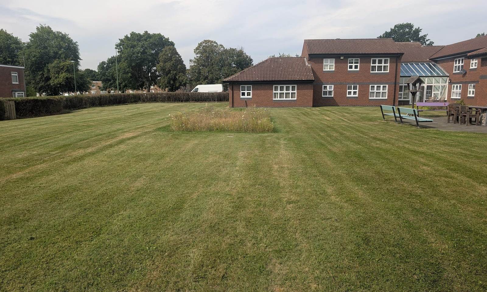 Striped communal lawn with a patch of wildflower meadow left standing, brick buildings behind