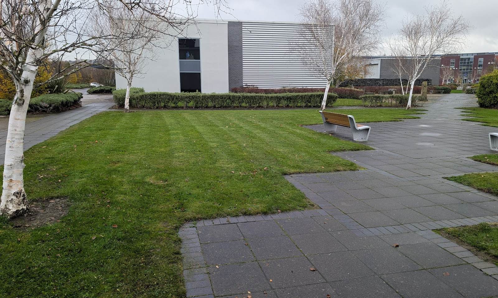 Business park courtyard with a striped lawn, paved paths, benches and silver birches