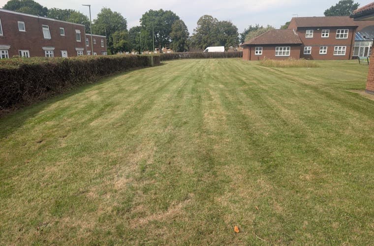 Large communal lawn mown in stripes between two housing blocks