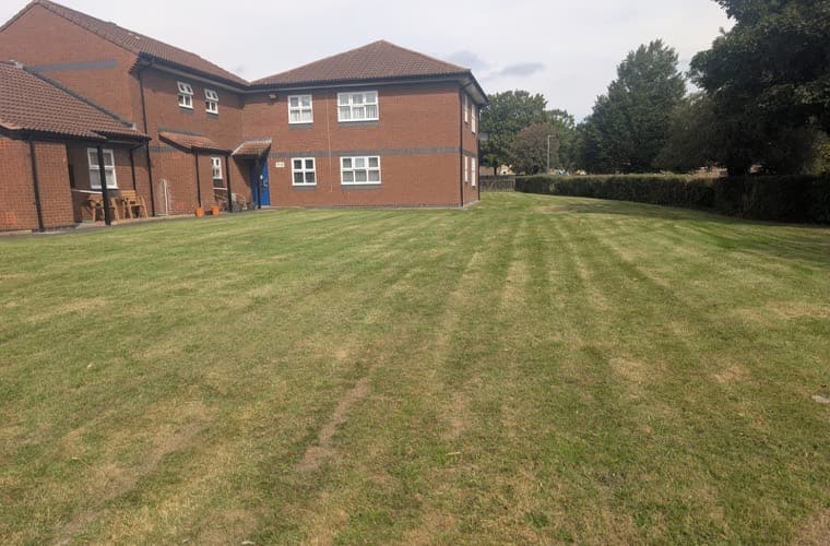 Striped lawn wrapping around a brick housing block with a clipped hedge boundary