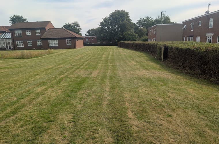Long striped lawn running between a hedge line and residential blocks