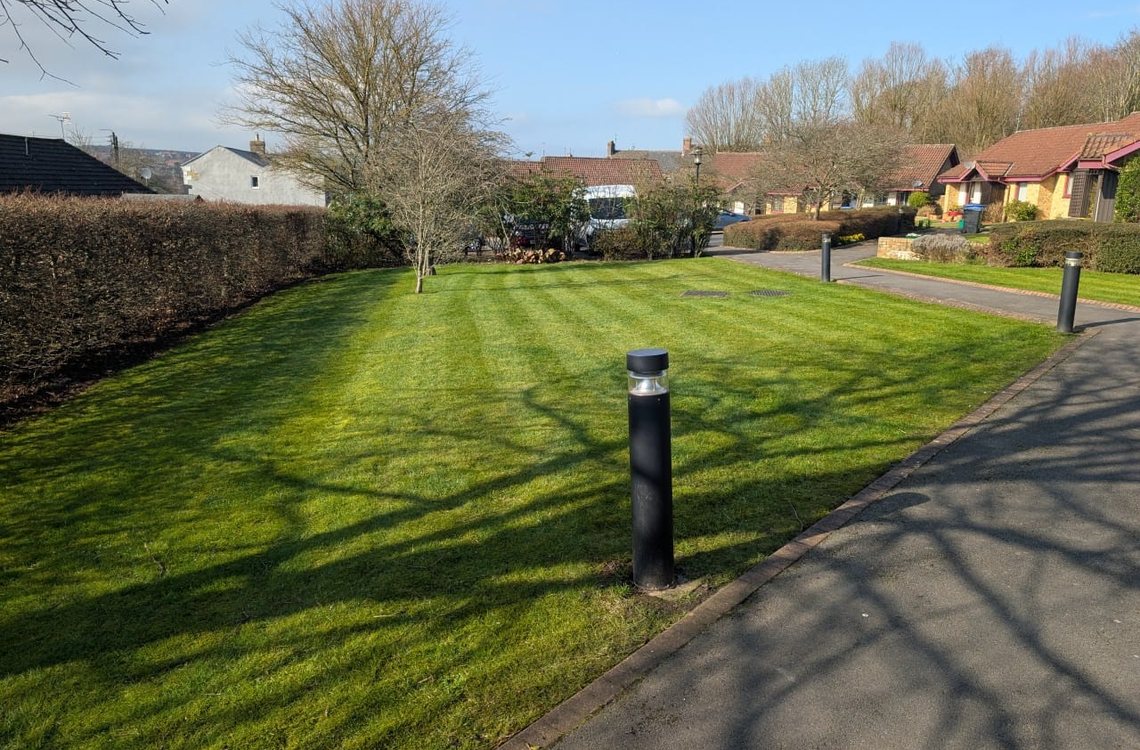 Managed estate lawn mown in stripes under a clear sky