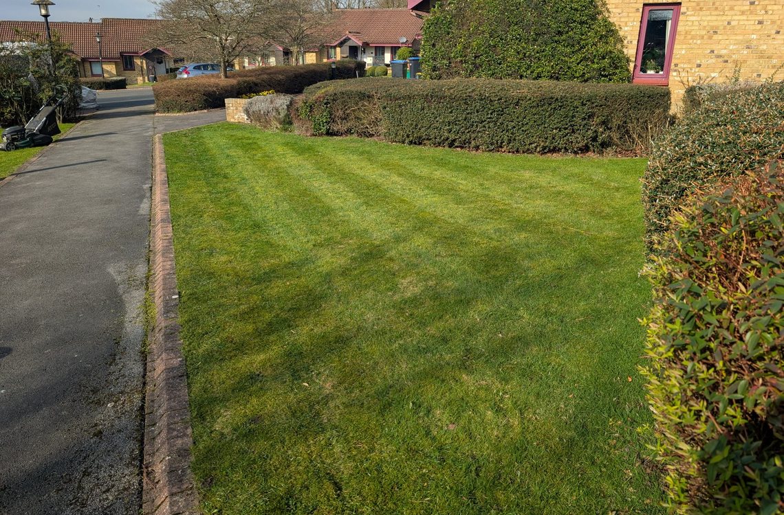 Estate lawn striped up to the path edge, mower still on site