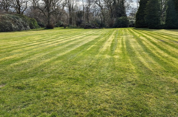 Open parkland lawn mown in stripes to a tree line