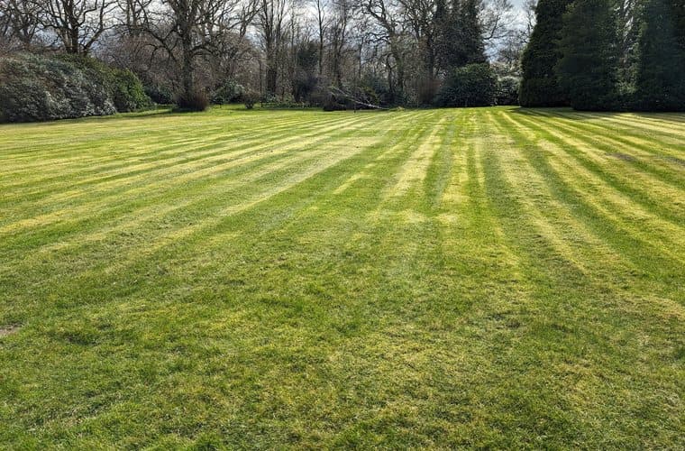 Open parkland lawn mown in stripes to a tree line