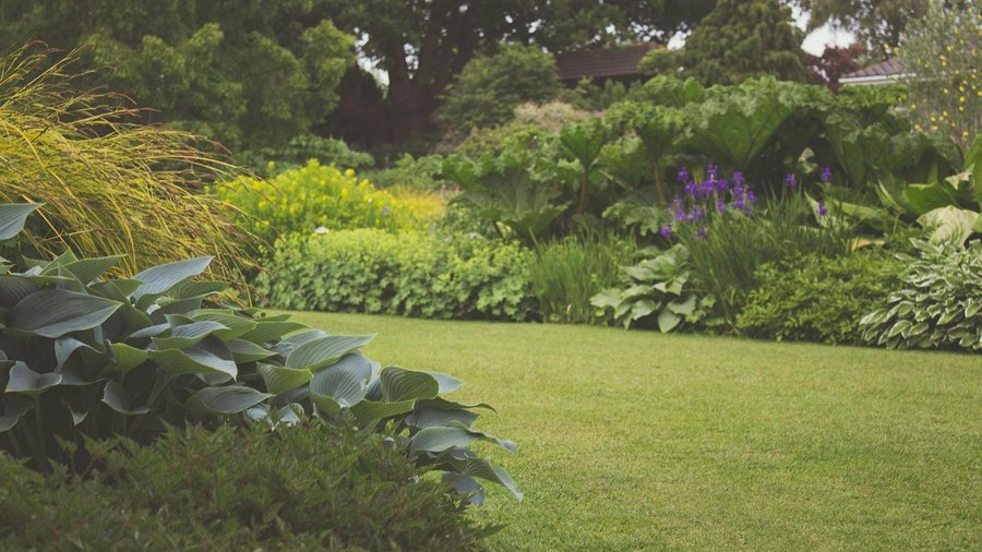 Borders and lawn in full growth through the summer